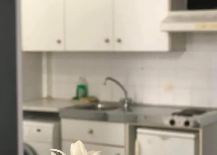 Oikeion 3* エルムポリ