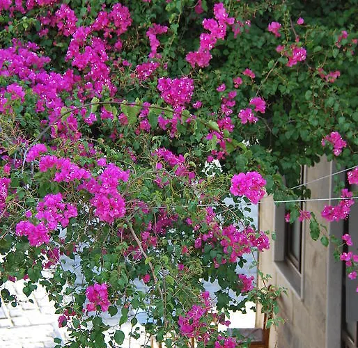 アパートホテル Oikeion エルムポリ