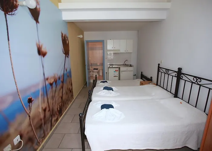 Oikeion エルムポリ