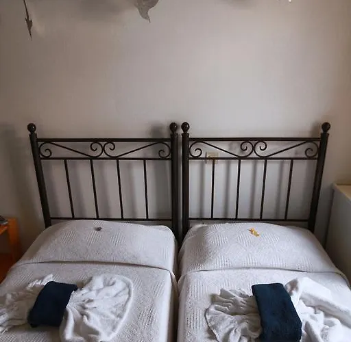 Oikeion エルムポリ